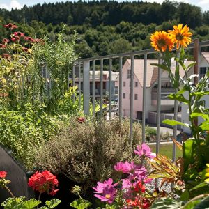 Gebaeudebegruenung_GartenKultur_Daniel_Ruprecht_AG_Dachterasse_05.jpg